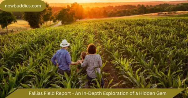 Fallias Field Report – An In-Depth Exploration of a Hidden Gem