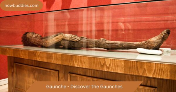 Gaunche – Discover the Gaunches